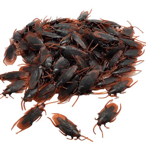 bag of fake cockroaches|plastic cockroach toys.